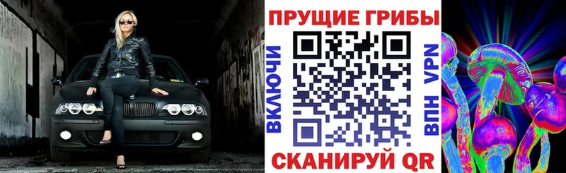 Псилоцибиновые грибы Cubensis  Анадырь 